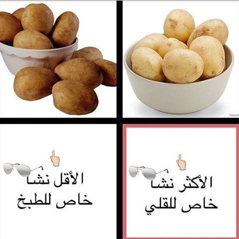 free d 2608602338804787552