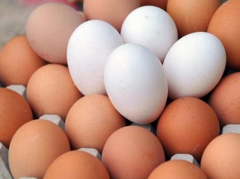 الفرق بين البيض الأبيض والبيض الأحمر