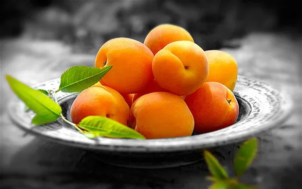 فوائد المشمش الأكيدة للصحة والجسم