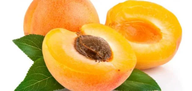 فوائد المشمش