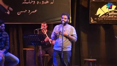 كلمات قصيدة الفراشة عمرو حسن
