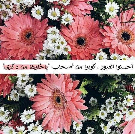خلفيات واتس اب جديده