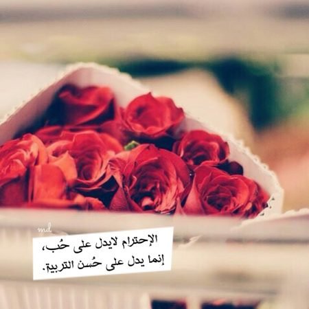 خلفيات واتس اب جديده