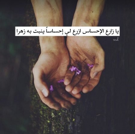 خلفيات واتس اب جديده