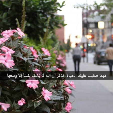 خلفيات واتس اب جديده