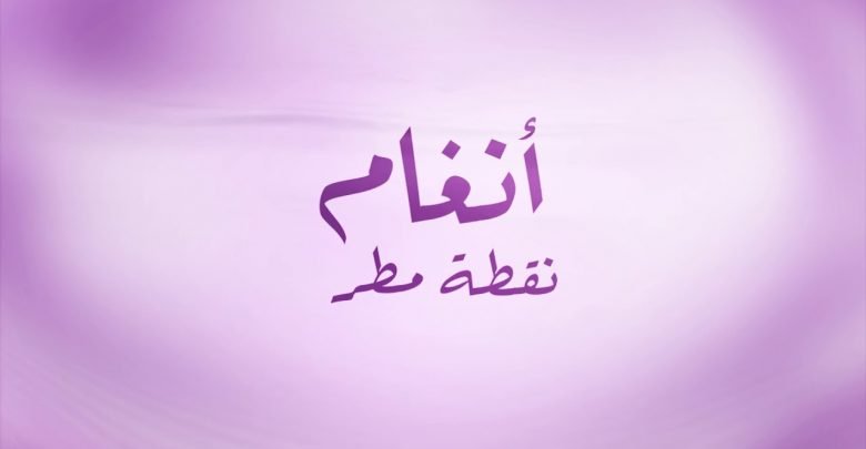 كلمات اغنية نقطة مطر انغام
