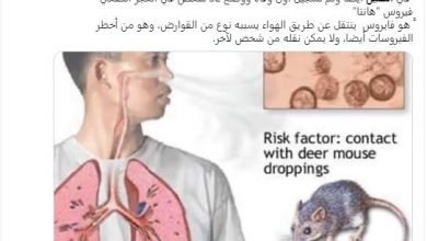 اعراض فيروس هانتا