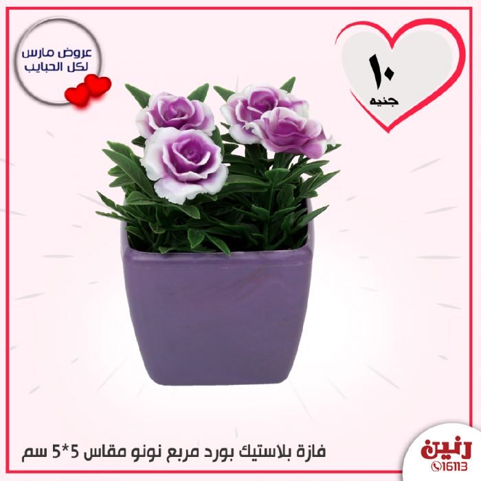 عروض رنين مصر من 23 حتى 24 3 2020 19