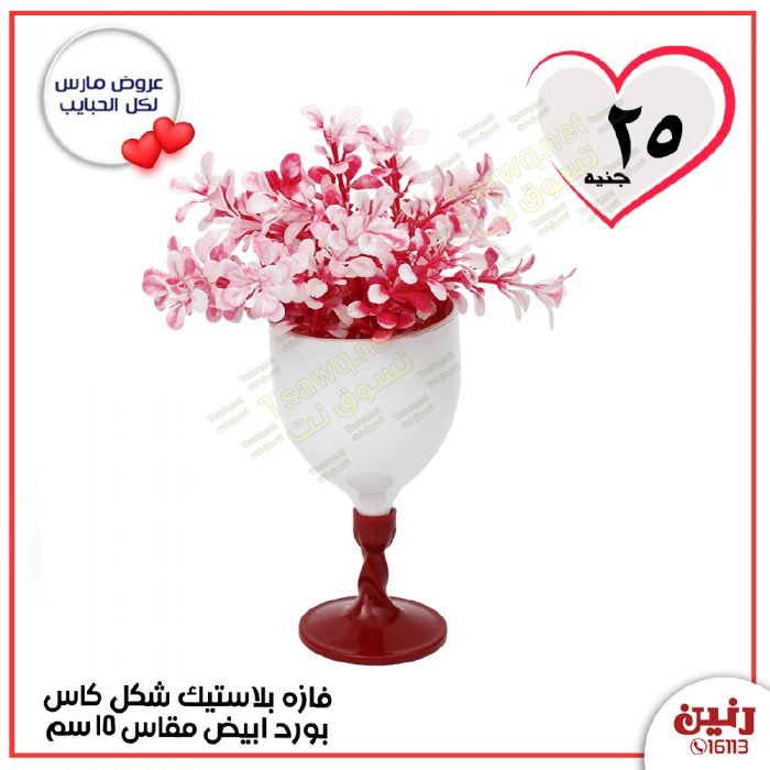 عروض رنين مصر من 23 حتى 24 3 2020 23