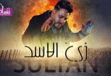كلمات اغنية زي الاسد من الفتوه محمد سلطان