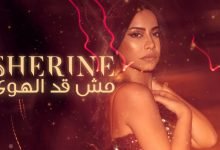 كلمات اغنية مش قد الهوى شيرين عبدالوهاب