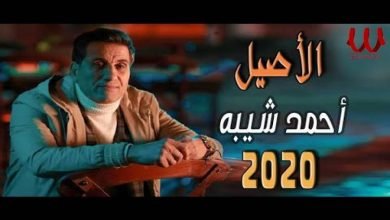 كلمات تتر مسلسل الاصيل احمد شيبه
