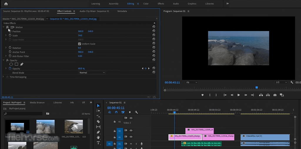 Adobe Premiere Pro CC 2020 Free Download 1