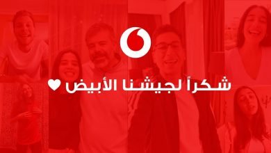 كلمات اغنية شكرا لجيشنا الابيض تامر عاشور