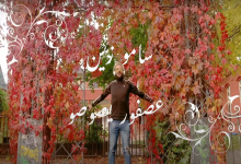 كلمات اغنية عصفور فرحان يصوصو سامو زين