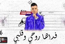 كلمات مهرجان فداها روحي وقلبى عصام صاصا