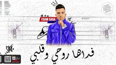 كلمات مهرجان فداها روحي وقلبى عصام صاصا