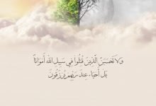ولا تحسبن الذين قتلوا في سبيل الله أمواتا سبب نزول الاية للشهداء