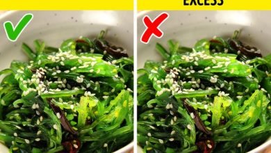 Seaweed