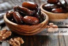 تفسير حلم البلح في المنام لابن سيرين