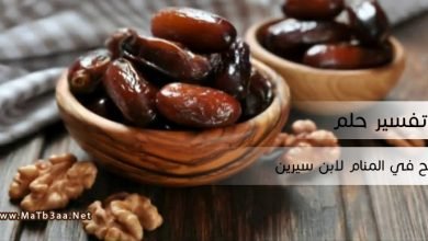 تفسير حلم البلح في المنام لابن سيرين