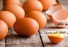 تفسير حلم البيض في المنام لابن سيرين