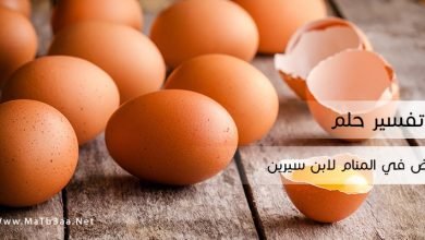 تفسير حلم البيض في المنام لابن سيرين