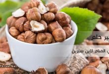 تفسير رؤية البندق في المنام لابن سيرين
