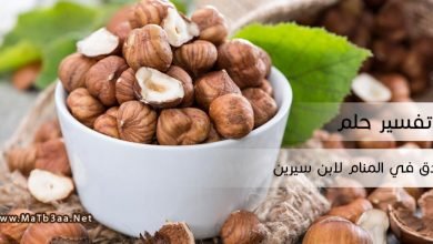 تفسير رؤية البندق في المنام لابن سيرين
