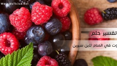 تفسير رؤية التوت في المنام لابن سيرين