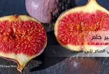 تفسير رؤية التين في المنام لابن سيرين