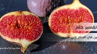 تفسير رؤية التين في المنام لابن سيرين