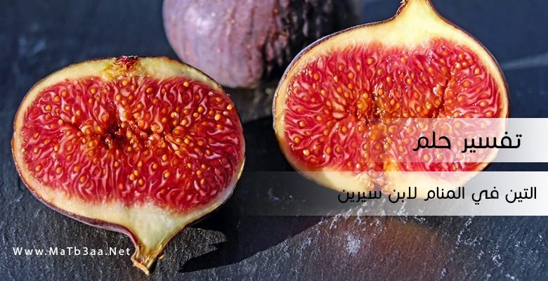 تفسير رؤية التين في المنام لابن سيرين