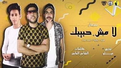 كلمات مهرجان لا مش حبيبك فيلو و ابوليله و احمد عبده