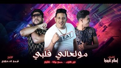 كلمات مهرجان مولعالي قلبي حمو بيكا نور التوت فيلو