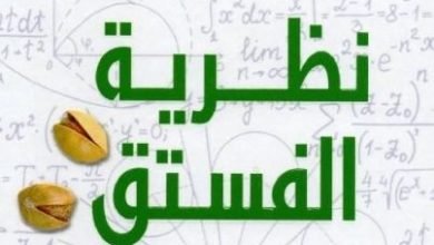 تحميل كتاب نظرية الفستق pdf فهد عامر الاحمدي