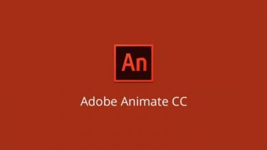 تحميل برنامج ادوبي انيميت 2020 Adobe Animate CC 2020