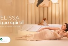 كلمات اغنية انا شبه نسيتك اليسا 2020
