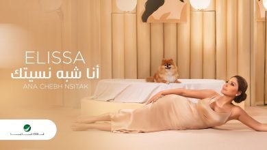كلمات اغنية انا شبه نسيتك اليسا 2020