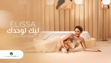 كلمات اغنية ليك لوحدك اليسا 2020