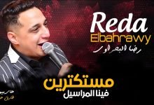 كلمات اغنية مستكترين عليا المراسيل رضا البحراوي 2020
