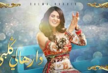 كلمات اغنية دارهالي قلبي سلمي رشيد 2020