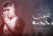 كلمات مهرجان طلعت رخيصة نور التوت 2020