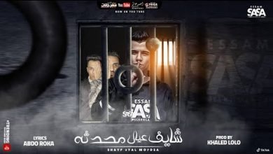 كلمات مهرجان شايف عيال محدثه فاقد واعمي النظر عصام صاصا 2021