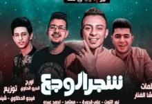 كلمات مهرجان شجر الوجع علي قدوره 2021