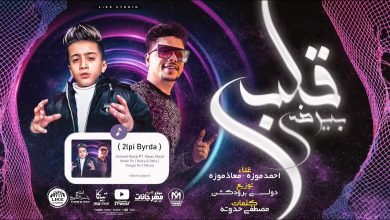 كلمات مهرجان قلبى بيرضى طمنونى على ايلى باعنى احمد موزه 2021