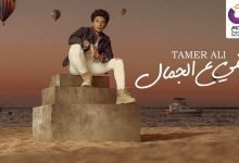 كلمات اغنية عيني ع الجمال تامر على 2021
