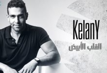 كلمات اغنية القلب الأبيض محمد كيلاني 2021