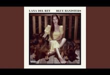 dealer lana del rey lyrics