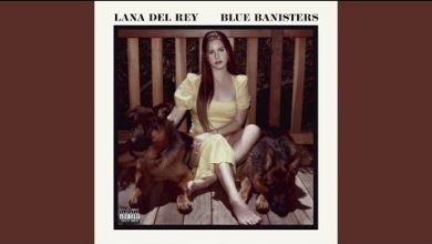 dealer lana del rey lyrics